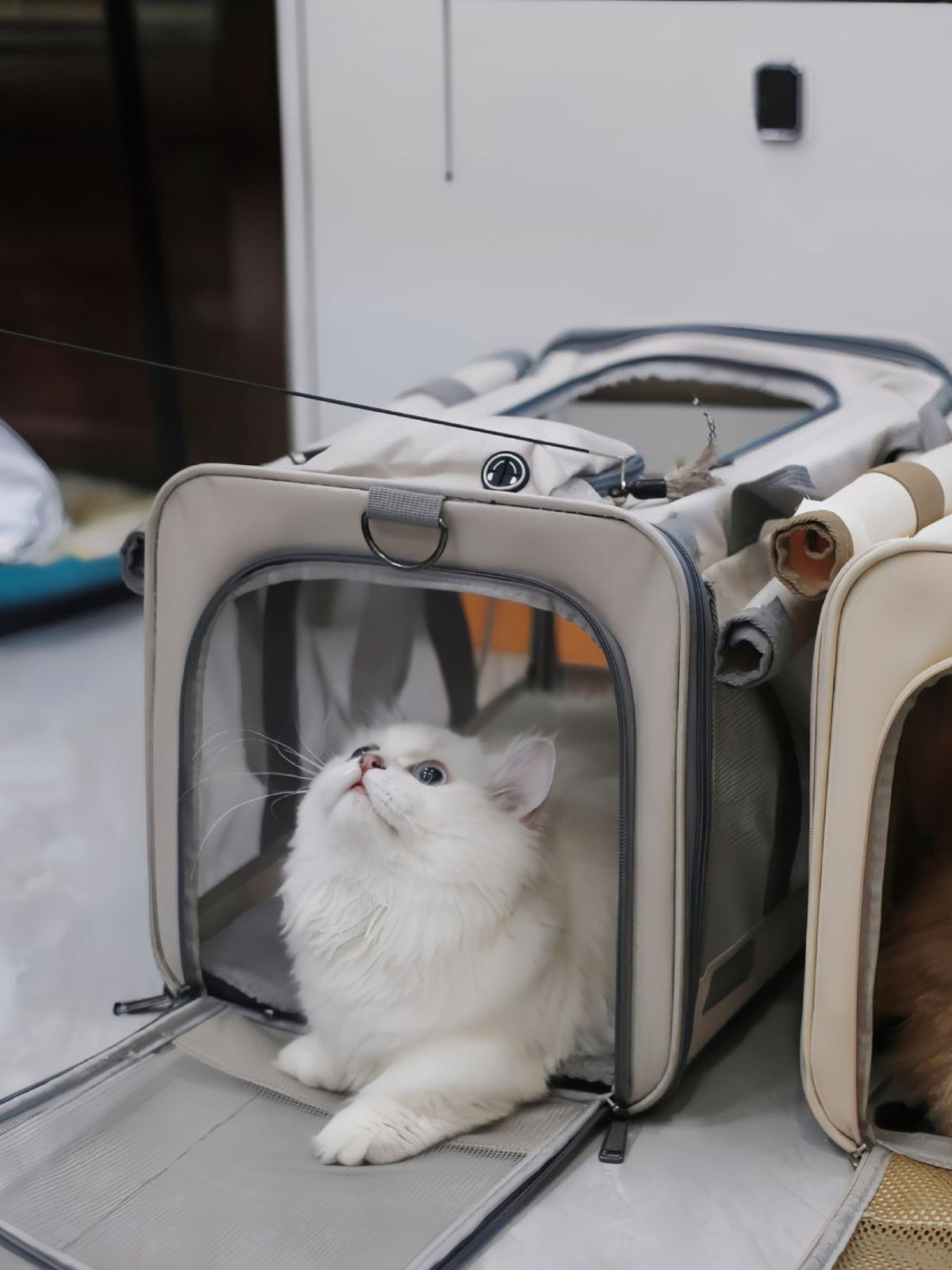 Bolsa transportín transpirable para mascotas (grande) - Artículos HE