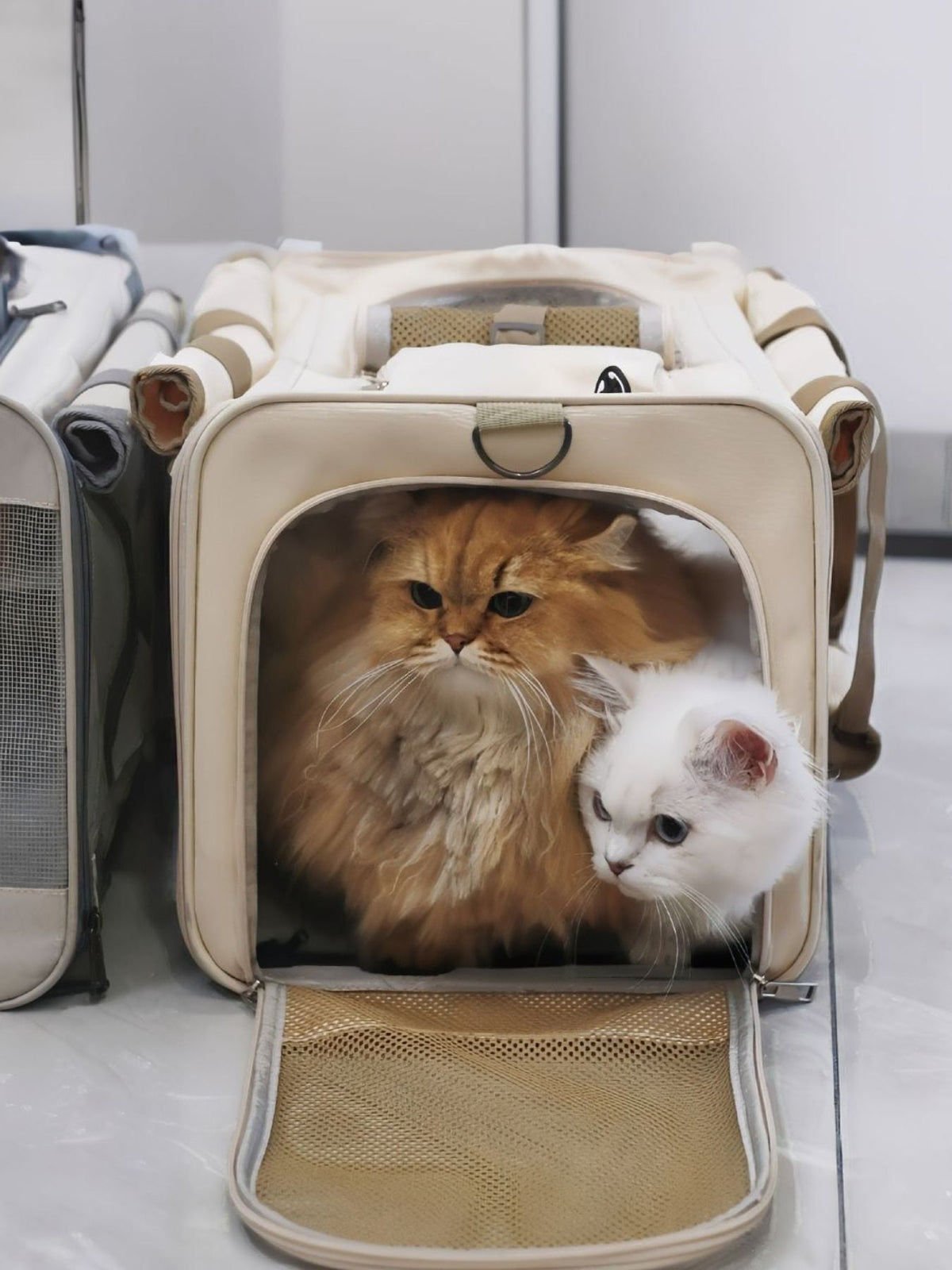 Bolsa transportín transpirable para mascotas (grande) - Artículos HE