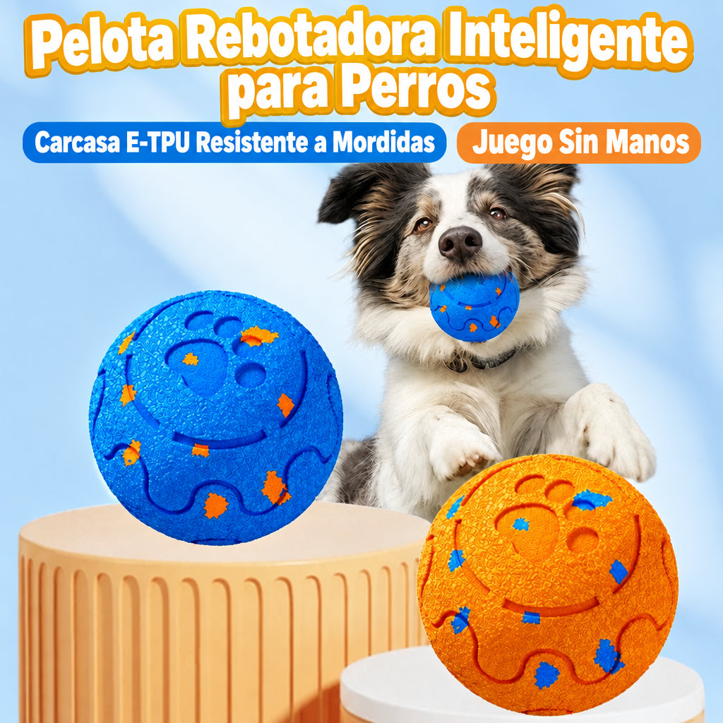 Interactive Pet Ball - Artículos HE