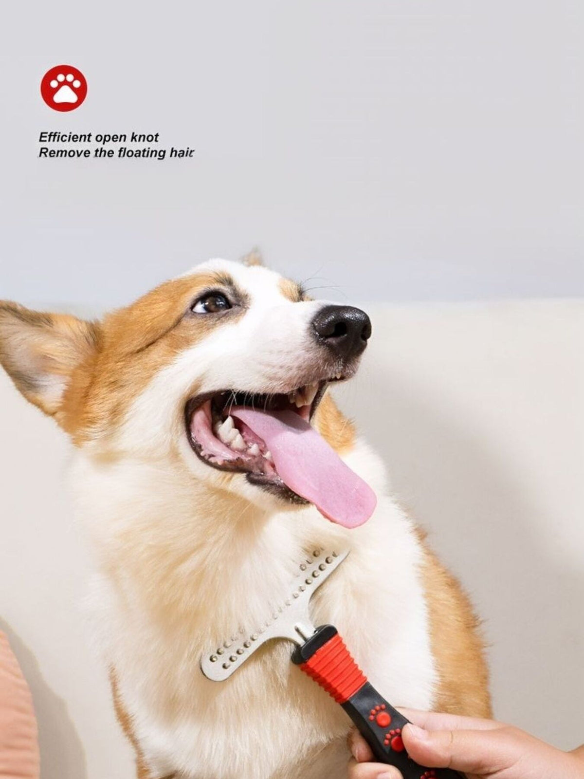 Peine quitapelos portátil para mascotas - Artículos HE