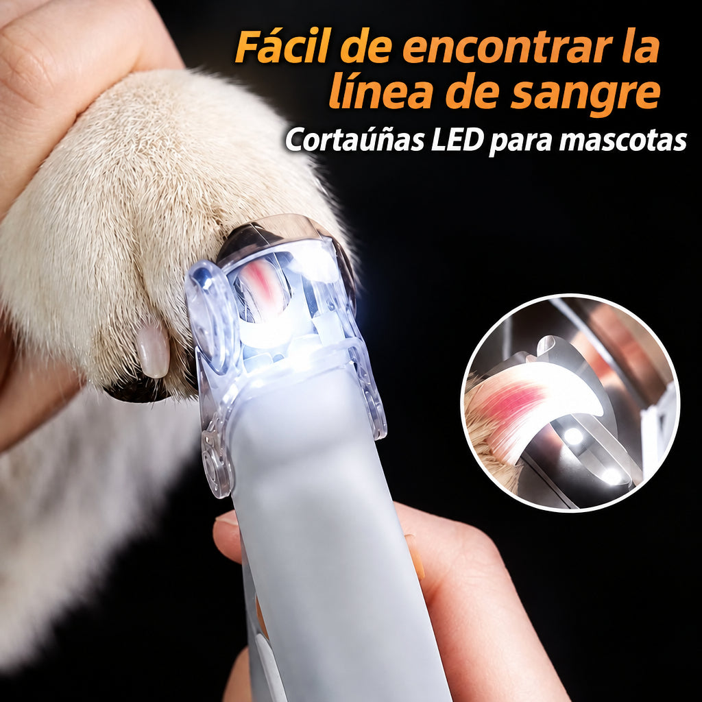 Pet LED Nail Clipper - Artículos HE