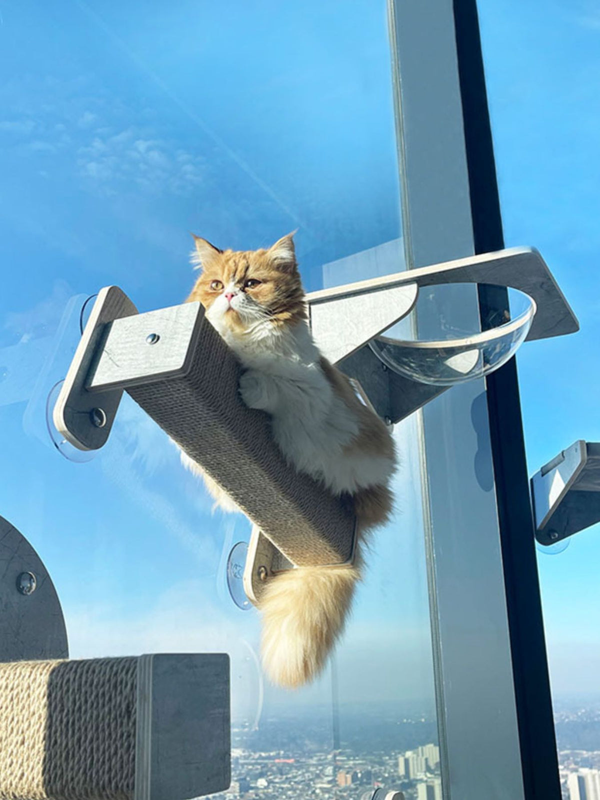 Rascador para gatos con ventosa para ventana - Artículos HE