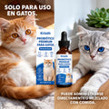 Skincare Essential Oil - Artículos HE