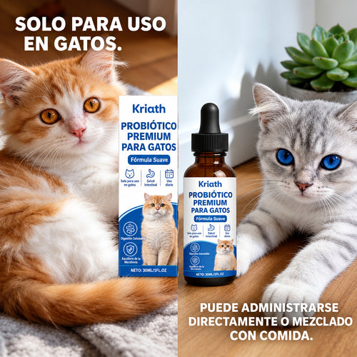 Skincare Essential Oil - Artículos HE