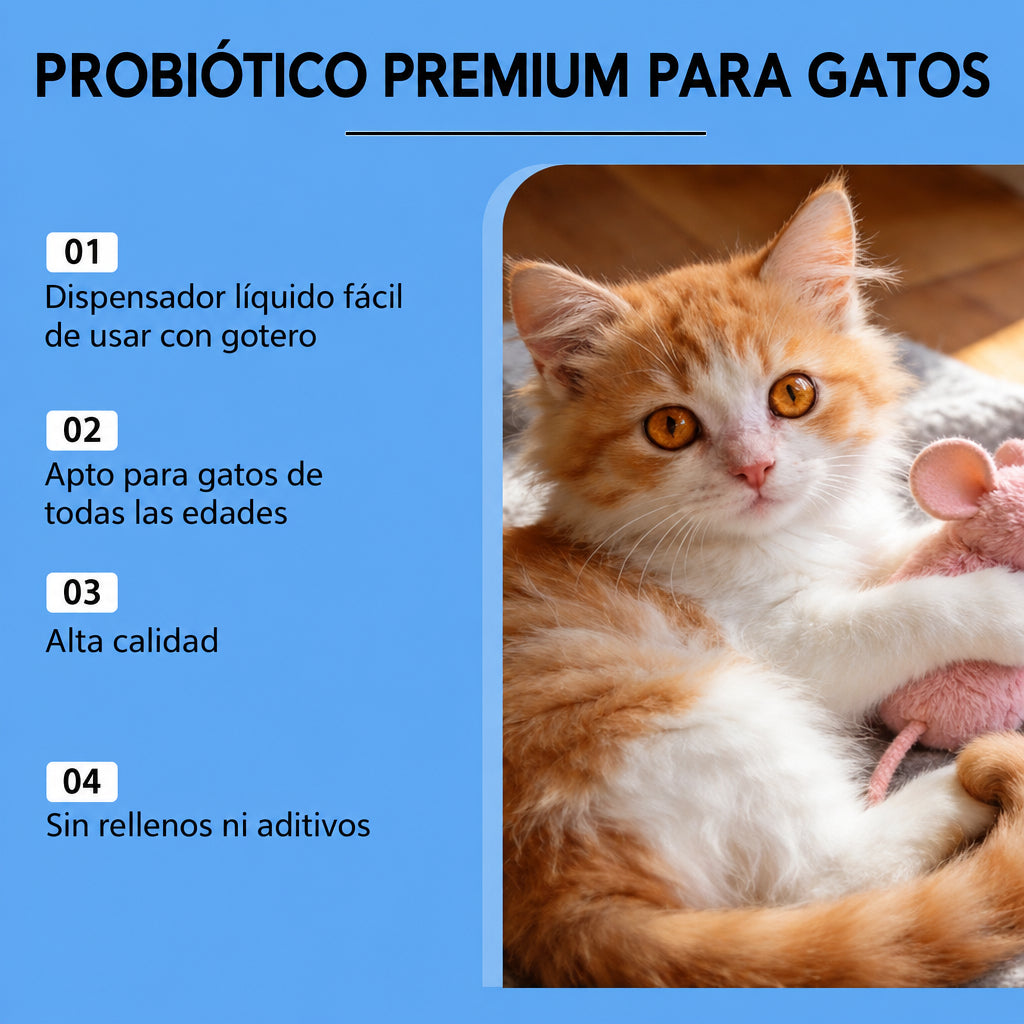 Skincare Essential Oil - Artículos HE